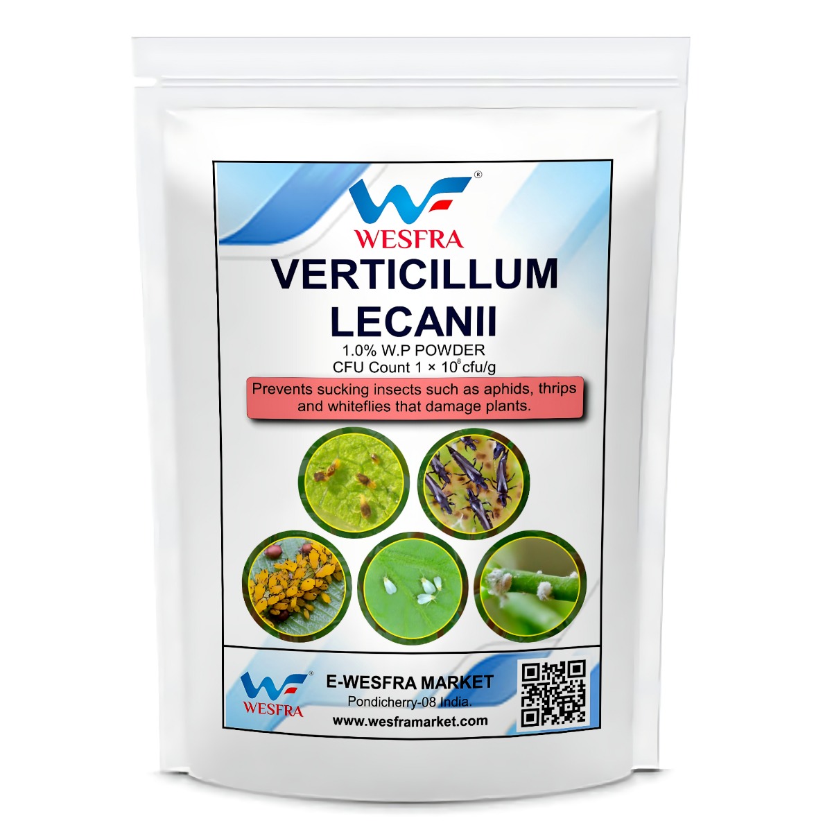 Verticillium Lecanii 1% WP | Organic Plant Pest Control