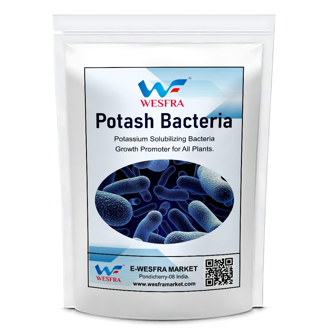 Potash Bacteria Fertilizer Growth and Soil Health 900g