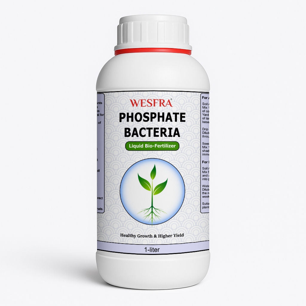 WESFRA Phosphate Bacteria