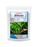 Silicone Slow Release Fertilizer 900g Plant Growth Booster