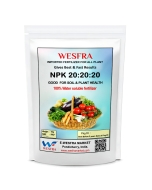 NPK 20-20-20 Fertilizer, 900g Ideal for Indoor Outdoor Use