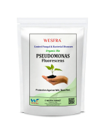 Pseudomonas Fluorescens Powder