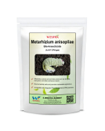 Metarrhium Anisole 900 g Organic Pest Control Powder