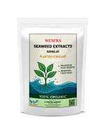 Seaweed Extract Granular, Plant Bio Stimulant, Root Growth Promoter. 900g