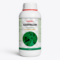 Azospirillum Nitrogen-Fixing Bio Fertilizer 1 Litre
