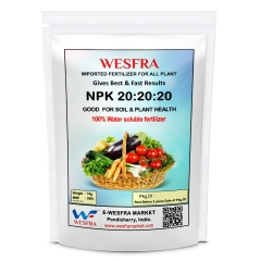 NPK 20-20-20 Fertilizer, 900g Ideal for Indoor Outdoor Use
