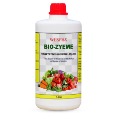 BIO-ZYEME Vegetative Growth Liquid – 1 Liter 