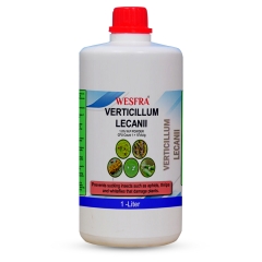 Verticillium Lecanii Organic Plant Pest Control 1 Litre 