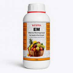 EM Organic Fertilizer Enhance Soil Health & Plant Growth