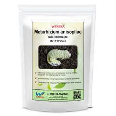 Metarrhium Anisole 900 g Organic Pest Control Powder