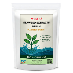 Seaweed Extract Granular, Plant Bio Stimulant, Root Growth Promoter. 900g