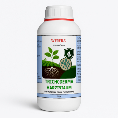 Trichoderma Harzianum Bio Fungicide – 1 liter Natural Plant Protection
