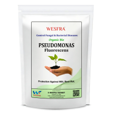 Pseudomonas Fluorescens Powder Fertilizer 1kg
