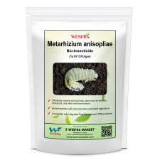 Metarrhium Anisole 900 g Organic Pest Control Powder