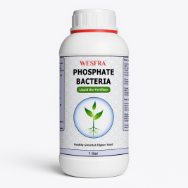 WESFRA Phosphate Bacteria