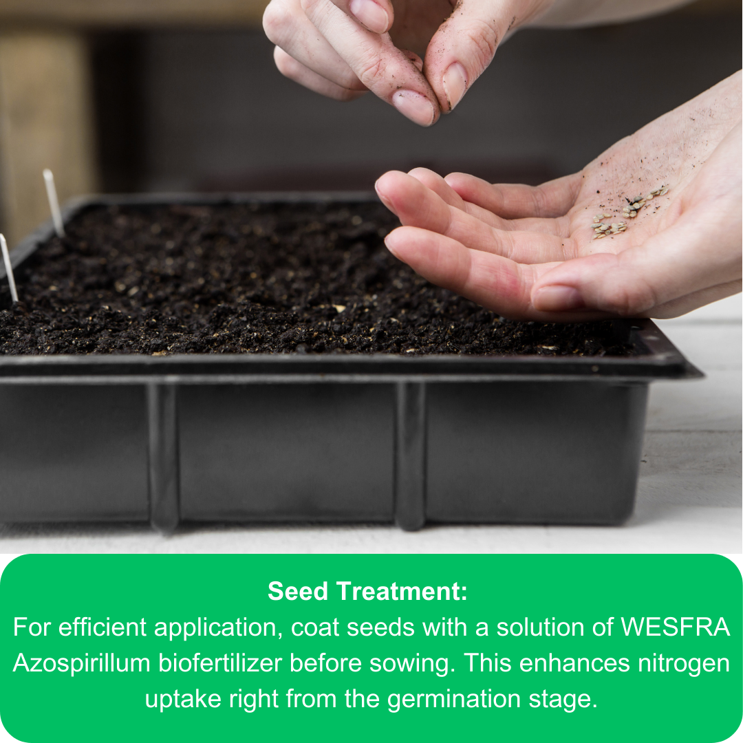 Azospirillum Nitrogen-Fixing BioFertilizer 900g Powder