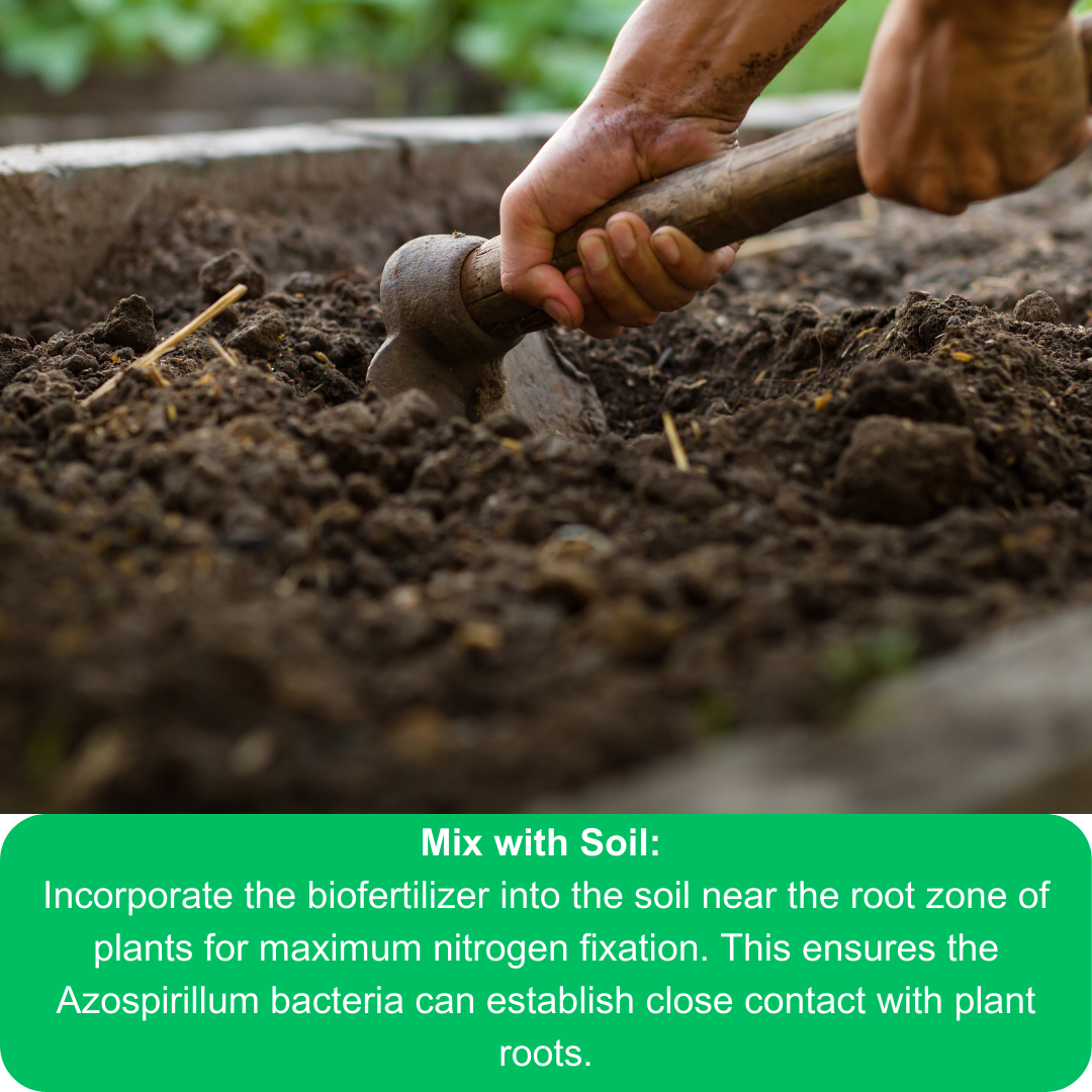 Azospirillum Nitrogen-Fixing BioFertilizer 900g Powder