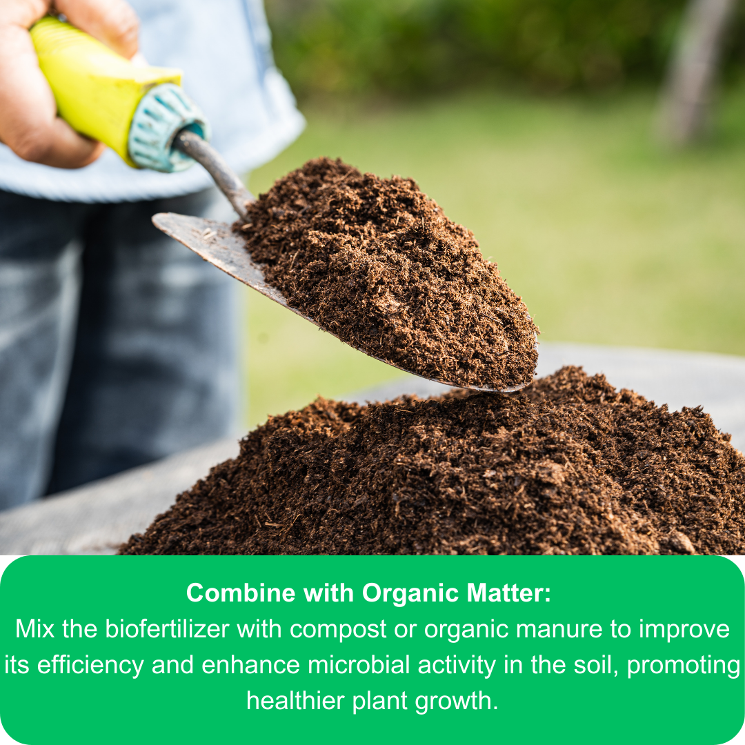 Azospirillum Nitrogen-Fixing BioFertilizer 900g Powder