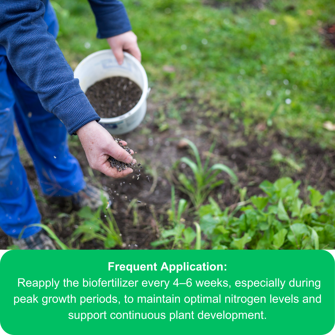 Azospirillum Nitrogen-Fixing BioFertilizer 900g Powder