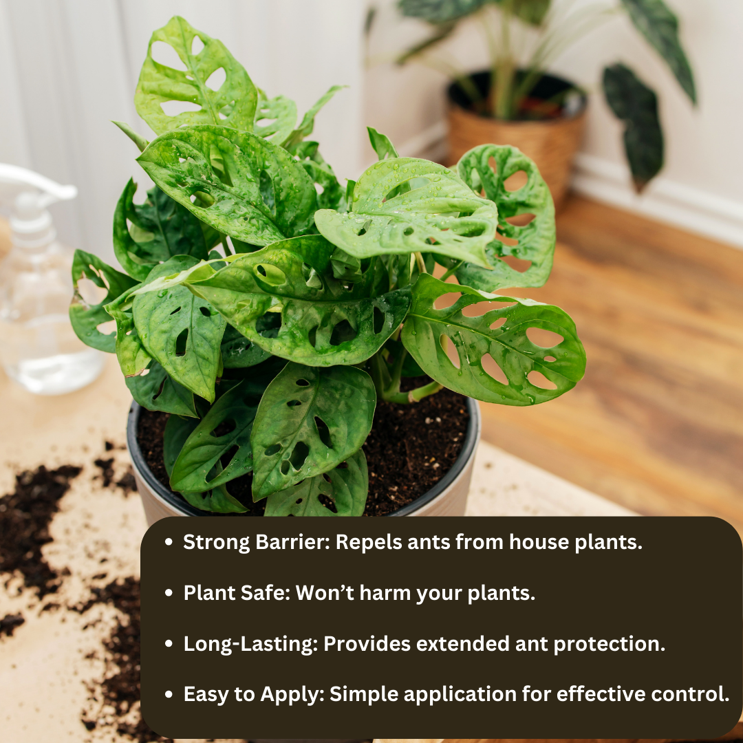 WESFRA Complete Ant killer Repellent Powder 900 g Can be used to kill ants that breed in home gardens and agricultural lands.