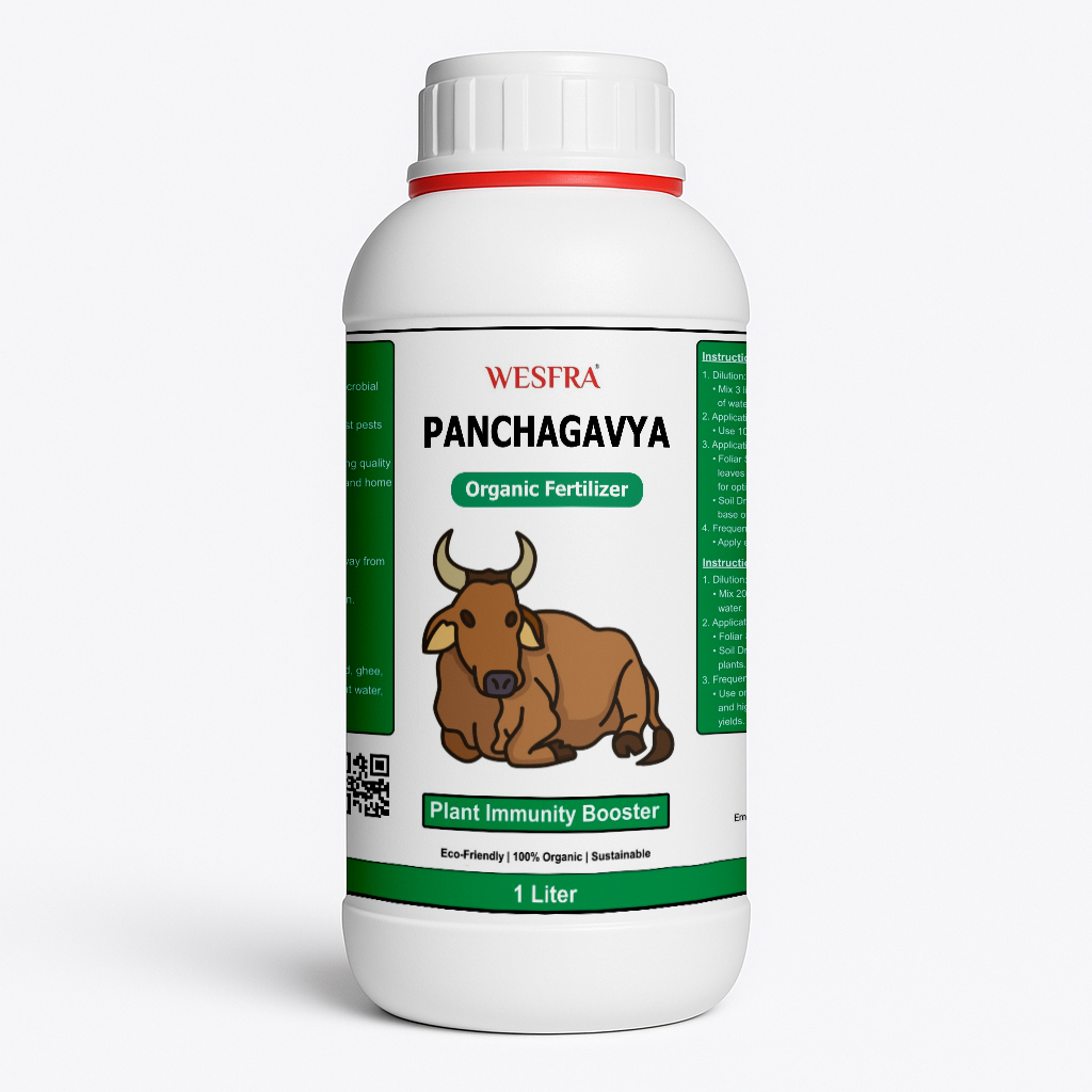 Panchagavya Fertilizer 1 Liter Natural Plant Growth Booster
