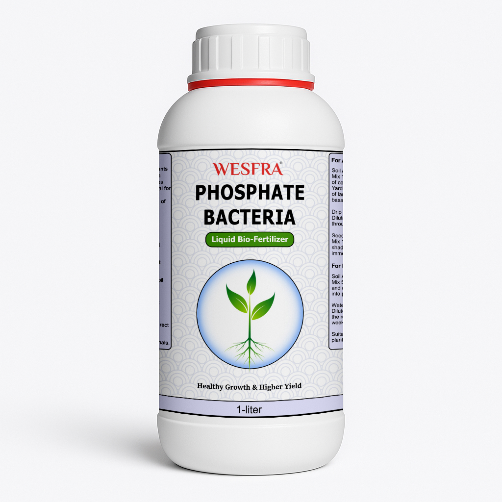 WESFRA Phosphate Bacteria