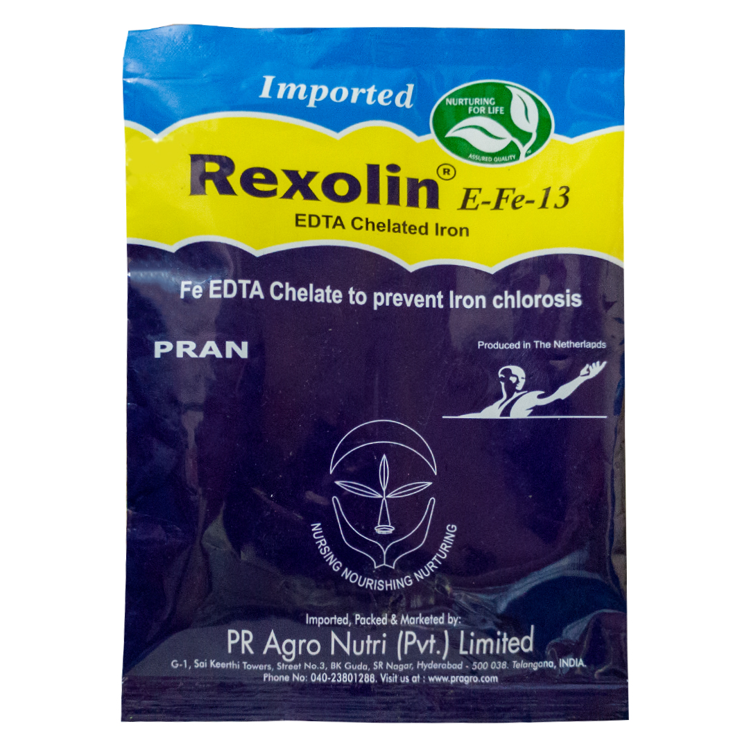 Rexolin E-Fe-13 EDTA Chelated Iron Supplement 100g Pack of 2