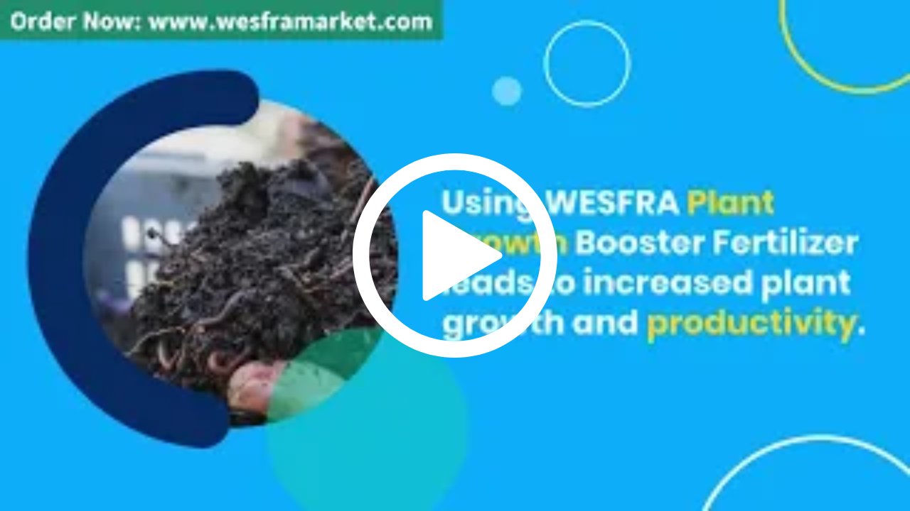 Vegetables and Flowers Growth Booster Fertilizer 900g