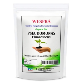 Pseudomonas Fluorescens Powder Fertilizer 1kg
