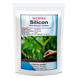 Silicon Slow-Release Fertilizer 1kg